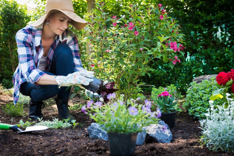 Bush Planting Service in Ventura County, CA