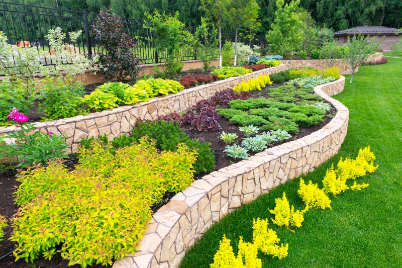 Dryscape Landscaping in Ventura County, CA