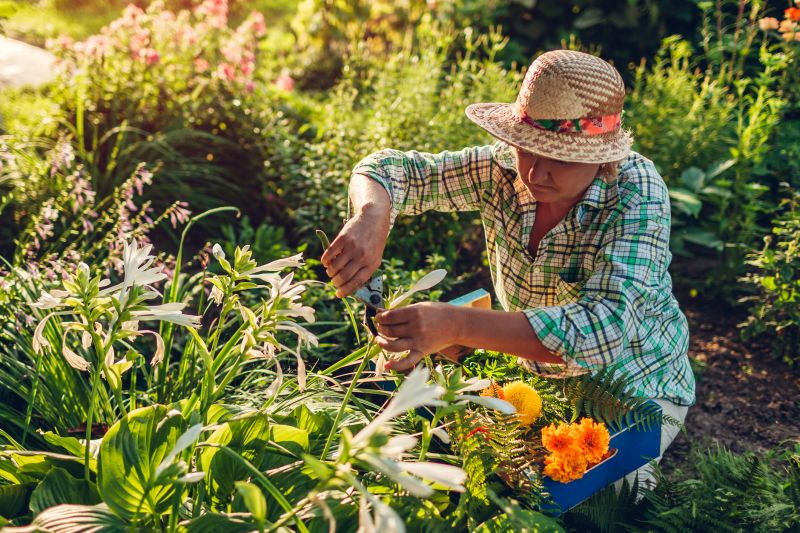 Garden Maintenance Service in Honolulu, HI