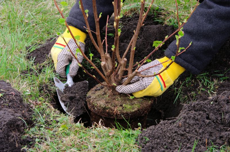 Gardening Service in Honolulu, HI