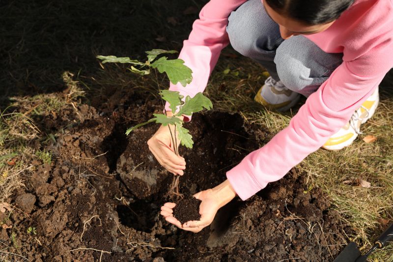 Orchard Planting in Ventura County, CA