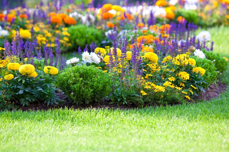Organic Mulch Installation in Ventura County, CA