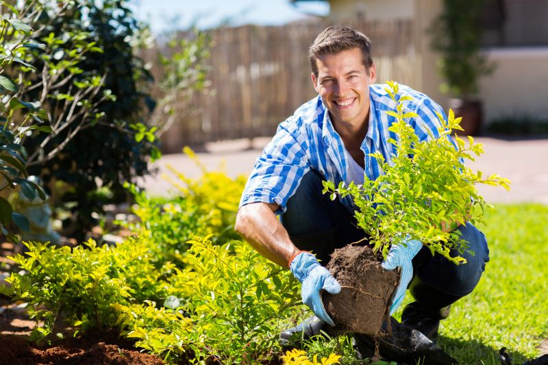 Privacy Hedge Planting in Honolulu, HI