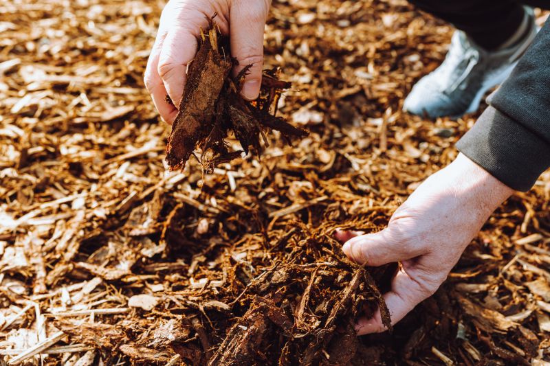 Weeding And Mulching in Honolulu, HI